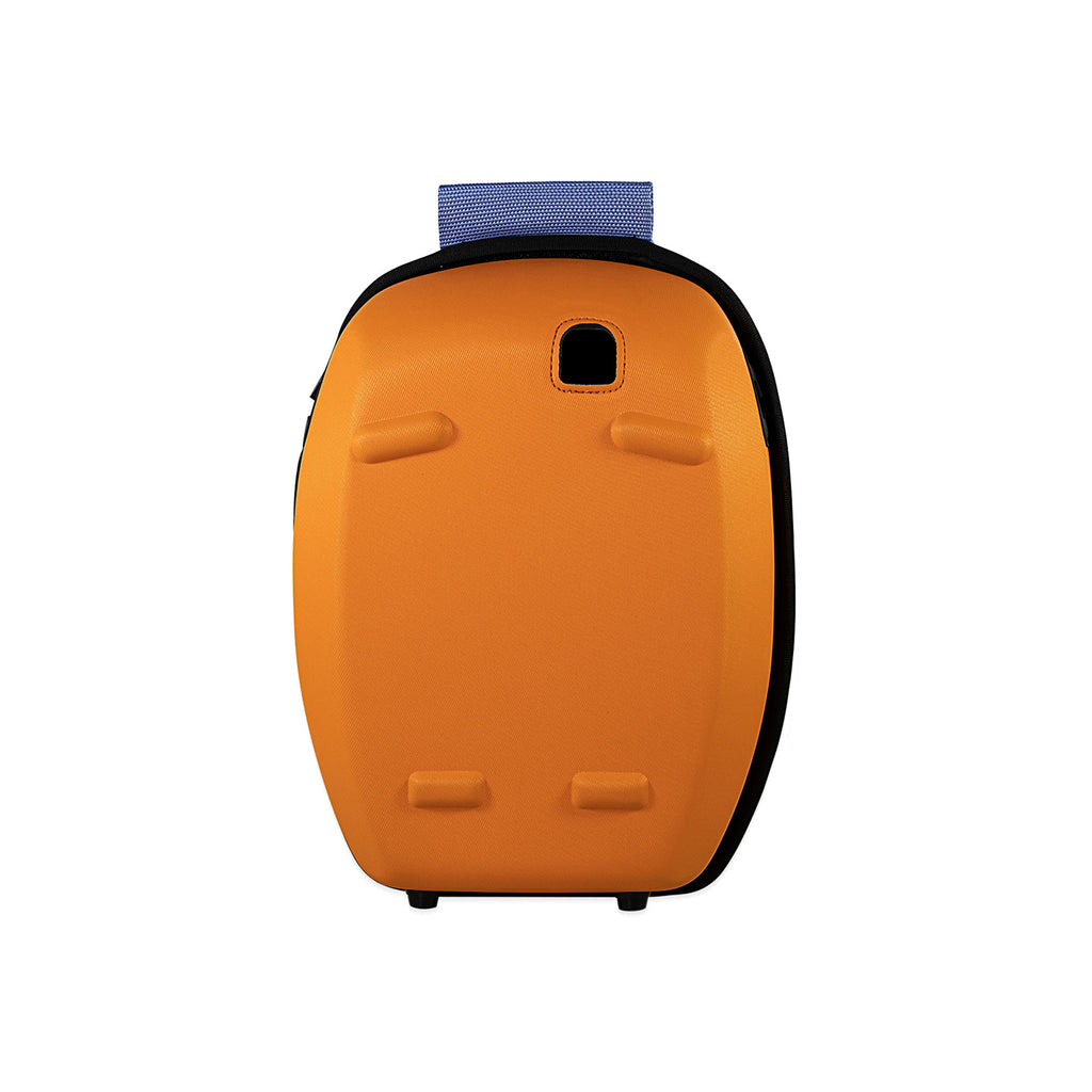 Carry bag for AED-3100