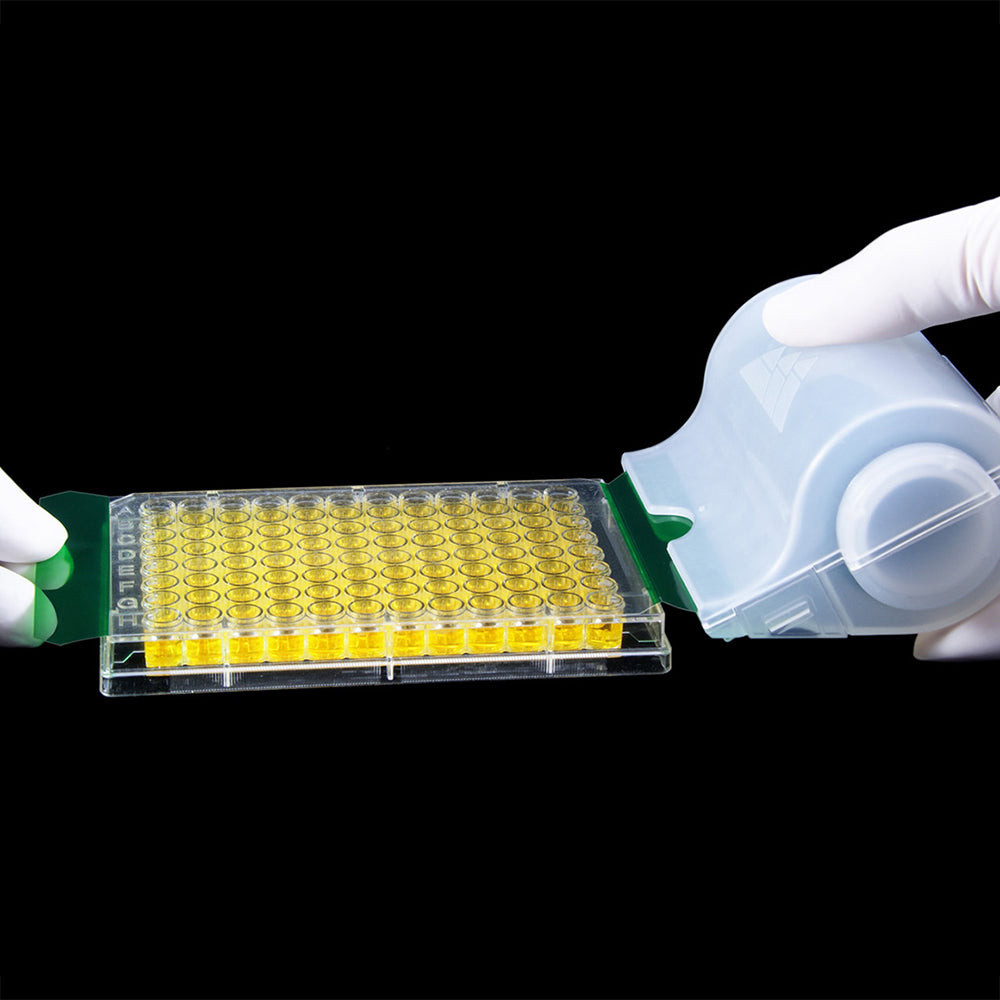 Sealing Film SealPlate® Starter Kit