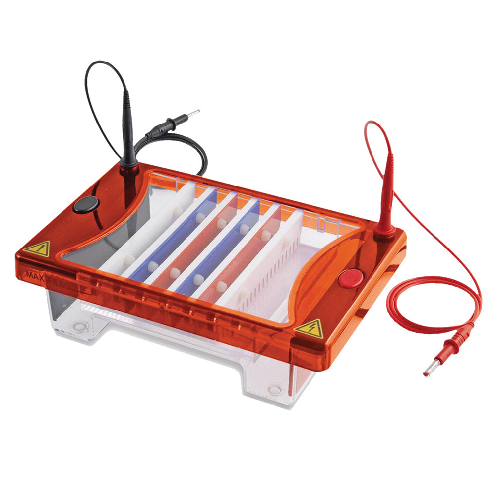 Clarit-E Midi Plus, 15x10cm UV Tray