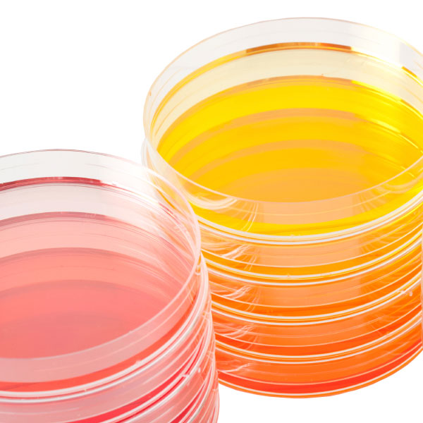 Bacillus subtilis Agar pH 8,0 (1VE=40 Platten)