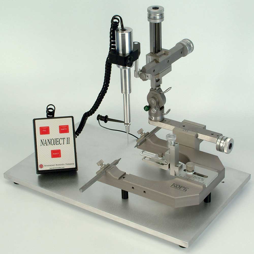 Recording Nanoject II Wire Plunger (1 p.)