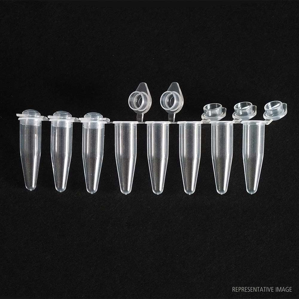 0.2ml PCR 8-strip tubes + Ind caps Blue (120 p.)