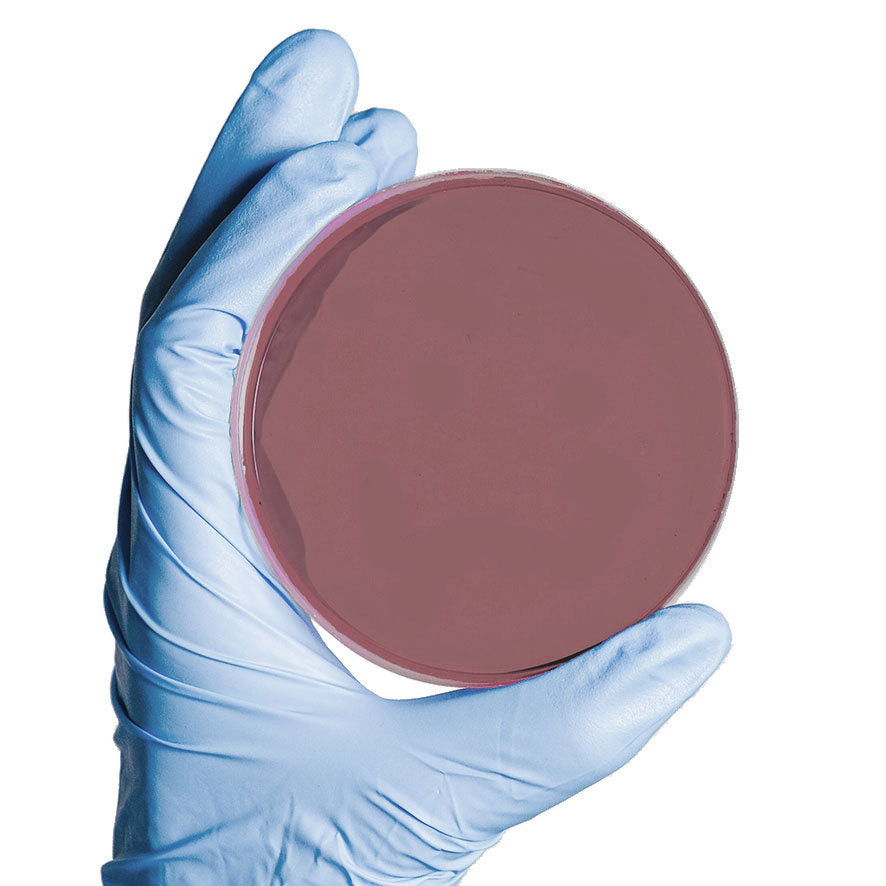 Martin Lewis Agar (GO) 20 Platten