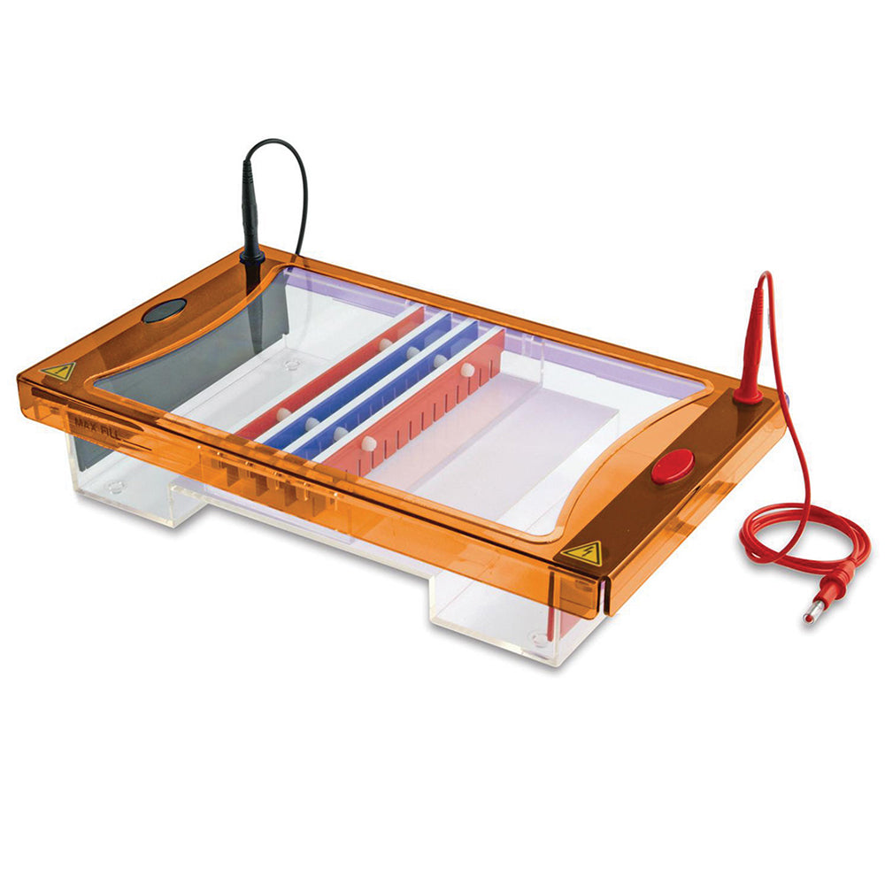 Clarit-E Maxi, with 10 & 20cm UV Trays
