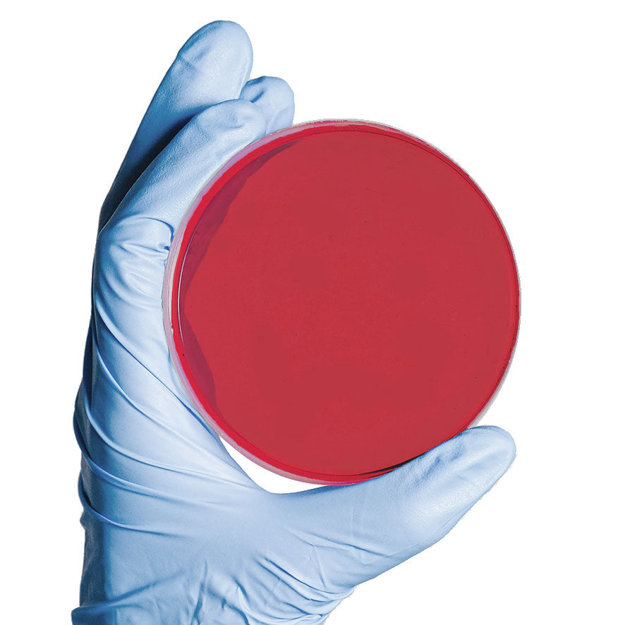 Mannit-Kochsalz-Agar - 20 Stk.