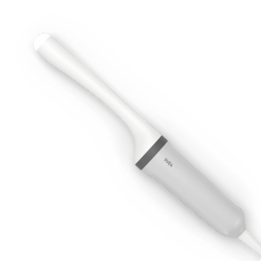 Siemens Endocavitärsonde 9VE4 zu Acuson Redwood