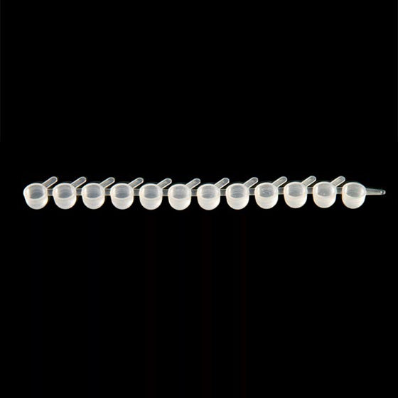 1.2ml Microtube 12-Cap Strips