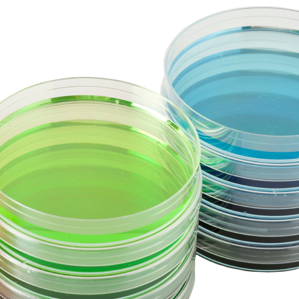 Herz-Hirn-Infusion HBI  Bouillon (100x 8ml)