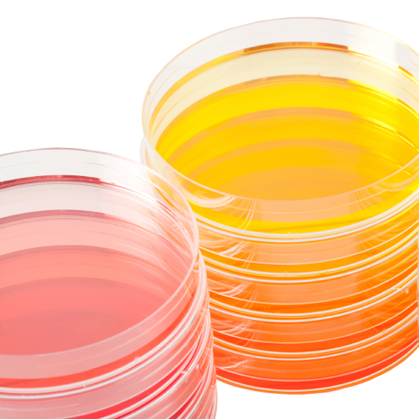 CHROMagar™ Candida (20 Pl.)