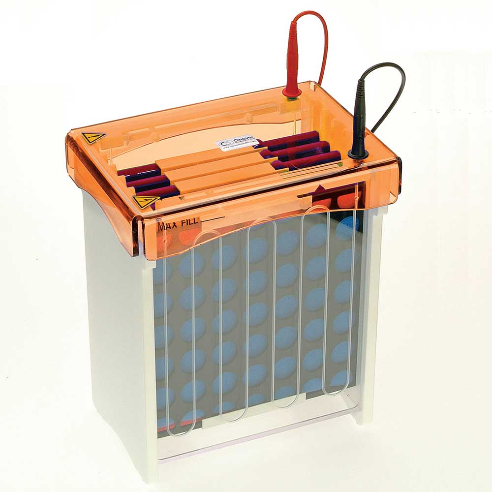 Clarit-E Electro Blot Mini, 10 x 10cm