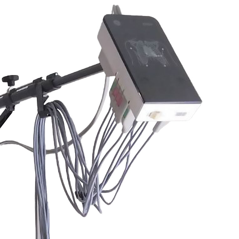 KISS+ EEAS für MAC - 10 Lead