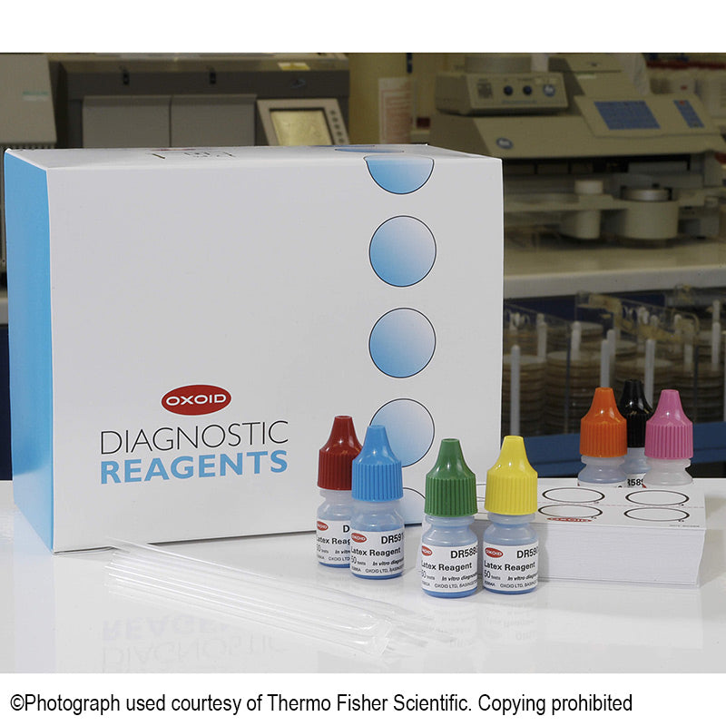 PBP2 Latex Agglutination Test (1x50 Stück)