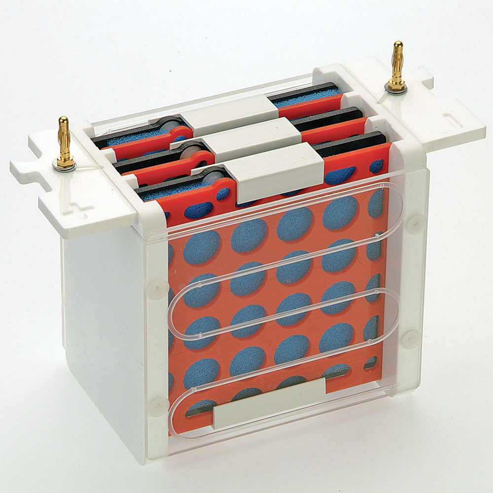 Blot Insert + 4 cassettes - 10x10cm