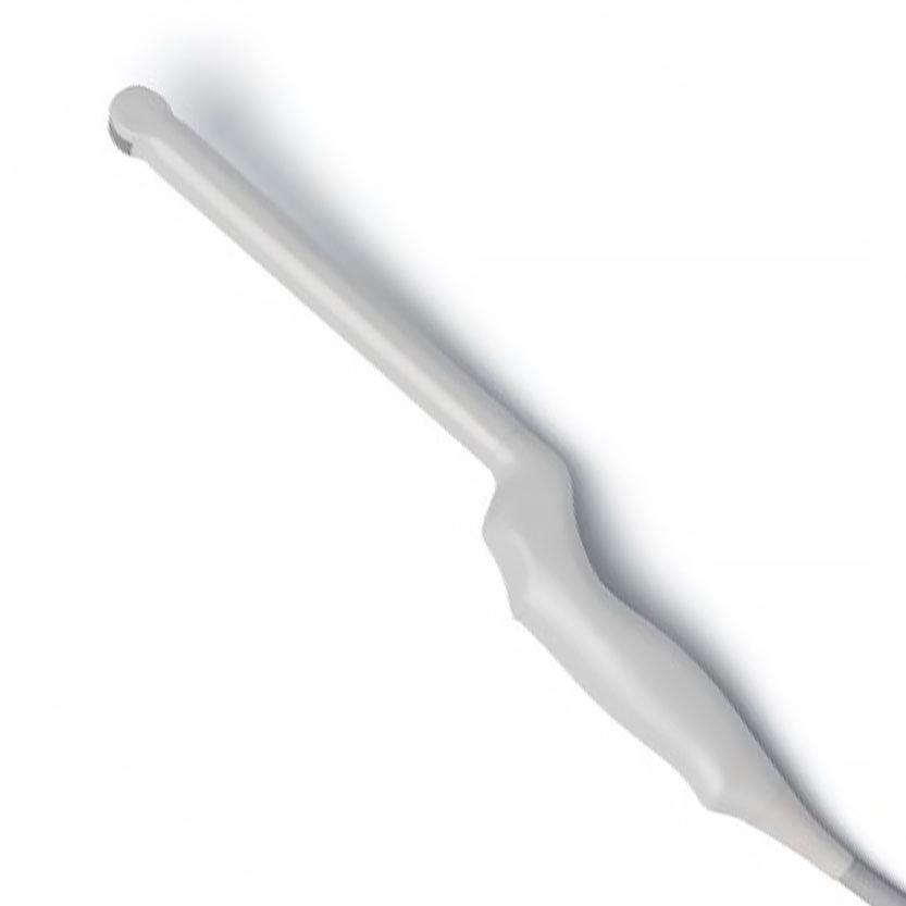 Siemens Endocavitärsonde EC10-5W zu Acuson NX3 Elite