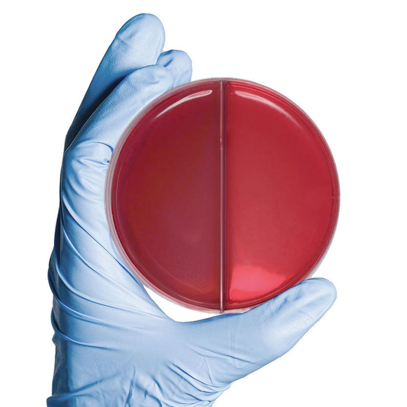MacConkey/Columbia-CNA biplate Agar - 20 Stk.