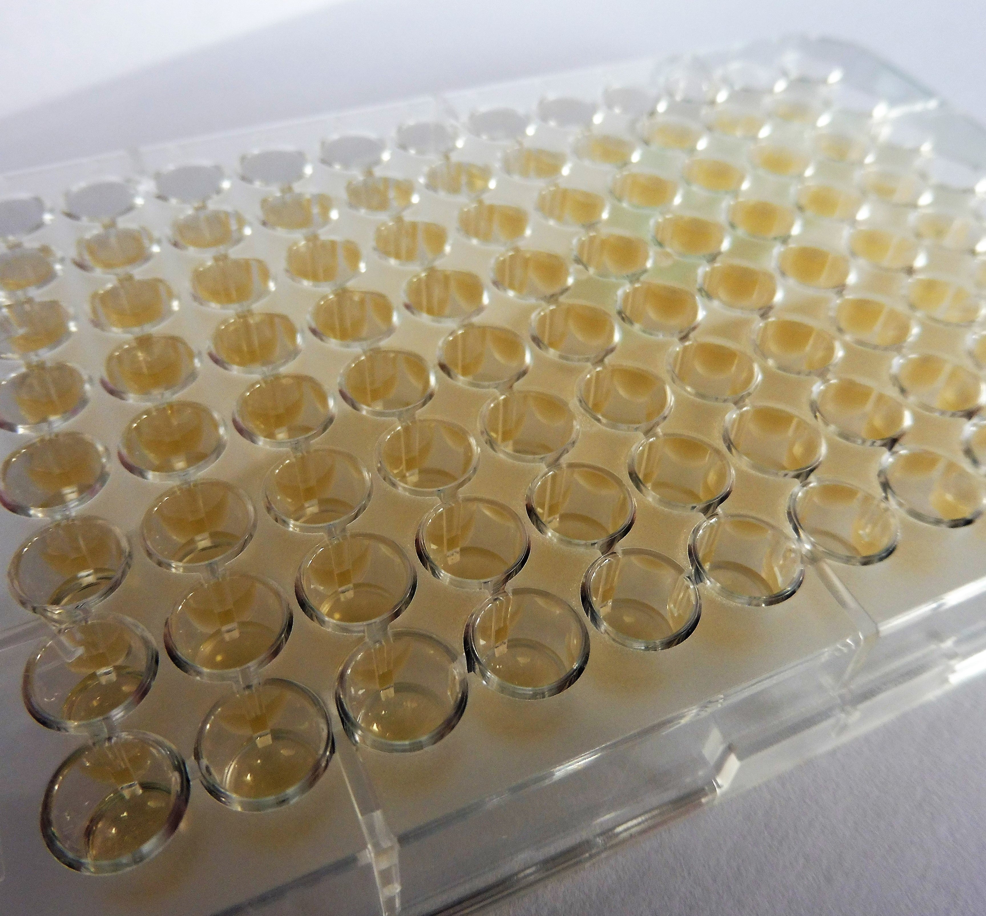 MICRONAUT-S Pneumococci & Haemophilus MIC (40 Pl.)