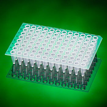 96 Well Unskirted PCR Plate, Nat (100 p.)