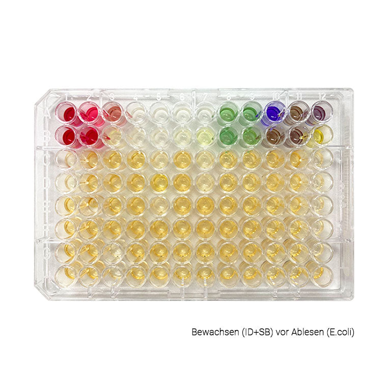 MICRONAUT-UR Platten + Folien (ID+AST; 100 je 1 Test)