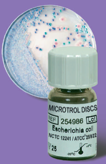 Microtrol™ Proteus mirabilis ATCC 14153 (10 Bl.)