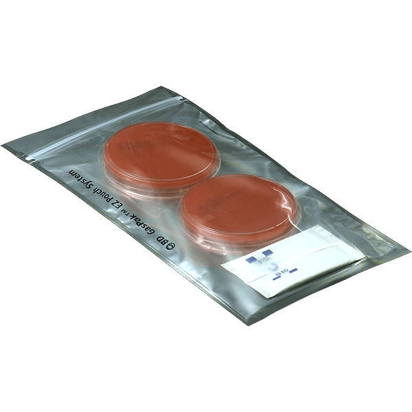 GasPak EZ Campy Pouch System (20 Stck)