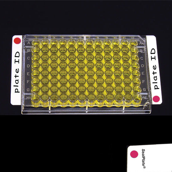 Clear Sealing Film SealPlate® Colortab™