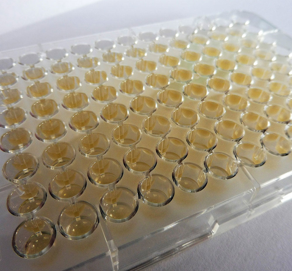MICRONAUT-S ß-Lactamases (40 Platten)