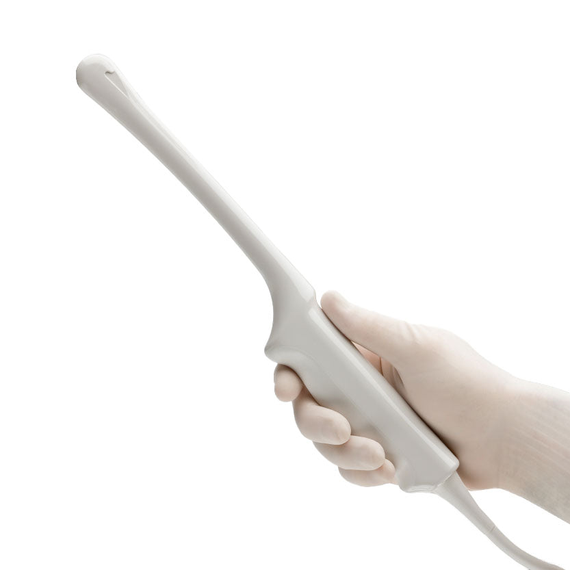 Philips Endocavitärsonde C10-3v