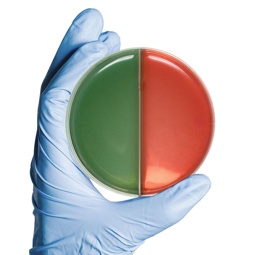 CLED / MacConkey-biplate Agar - 20 Stk.