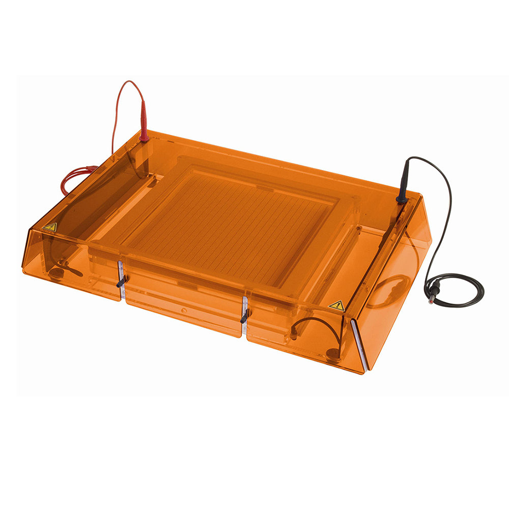 Flatbed IEF system