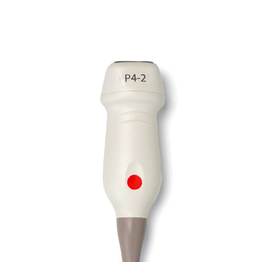 Siemens Phased Array Sonde P4-2 zu Acuson NX3 Elite