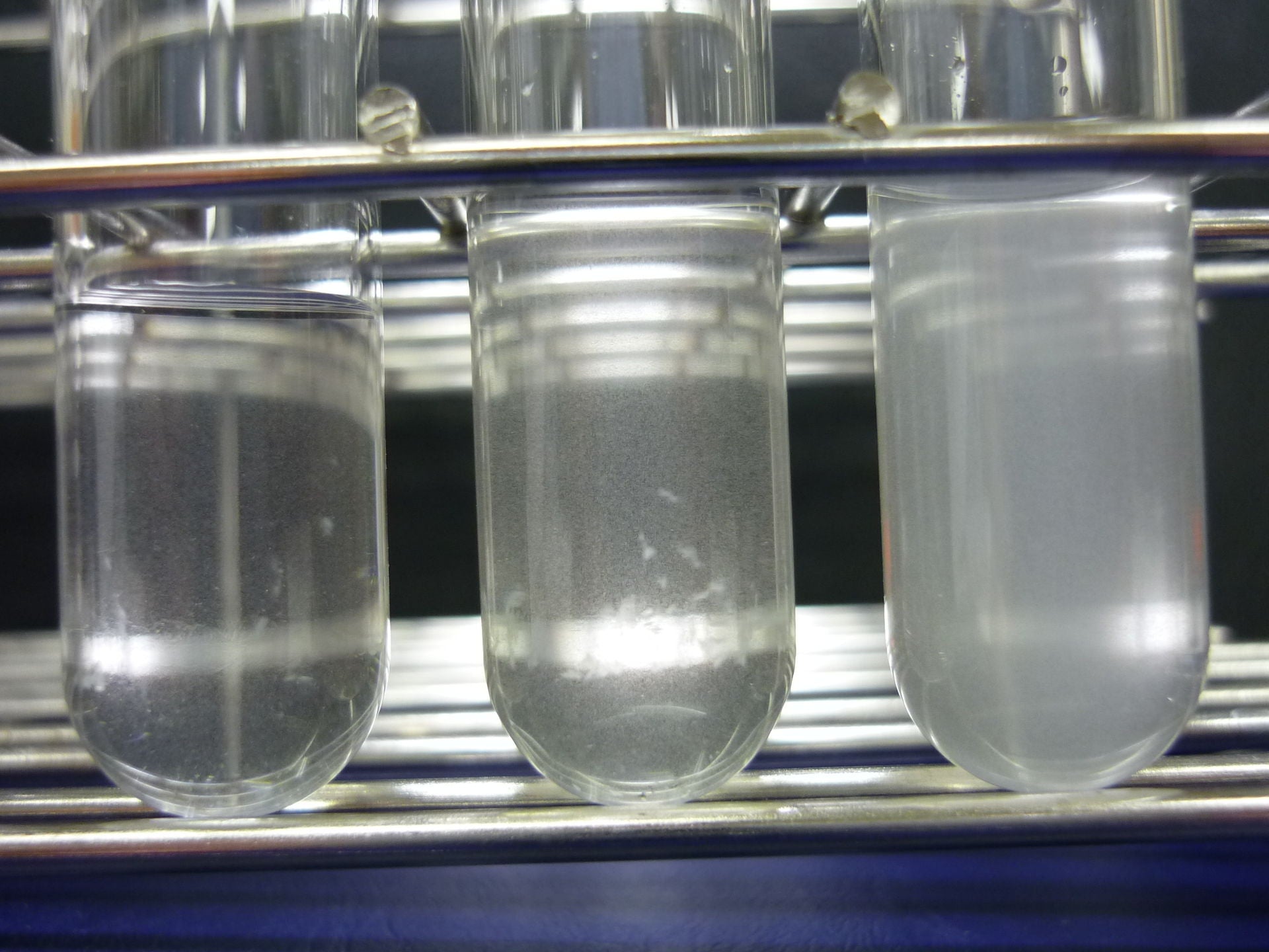 McFarland 1.0 Turbidity Standard