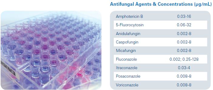 MICRONAUT-AM  (40 Platten)