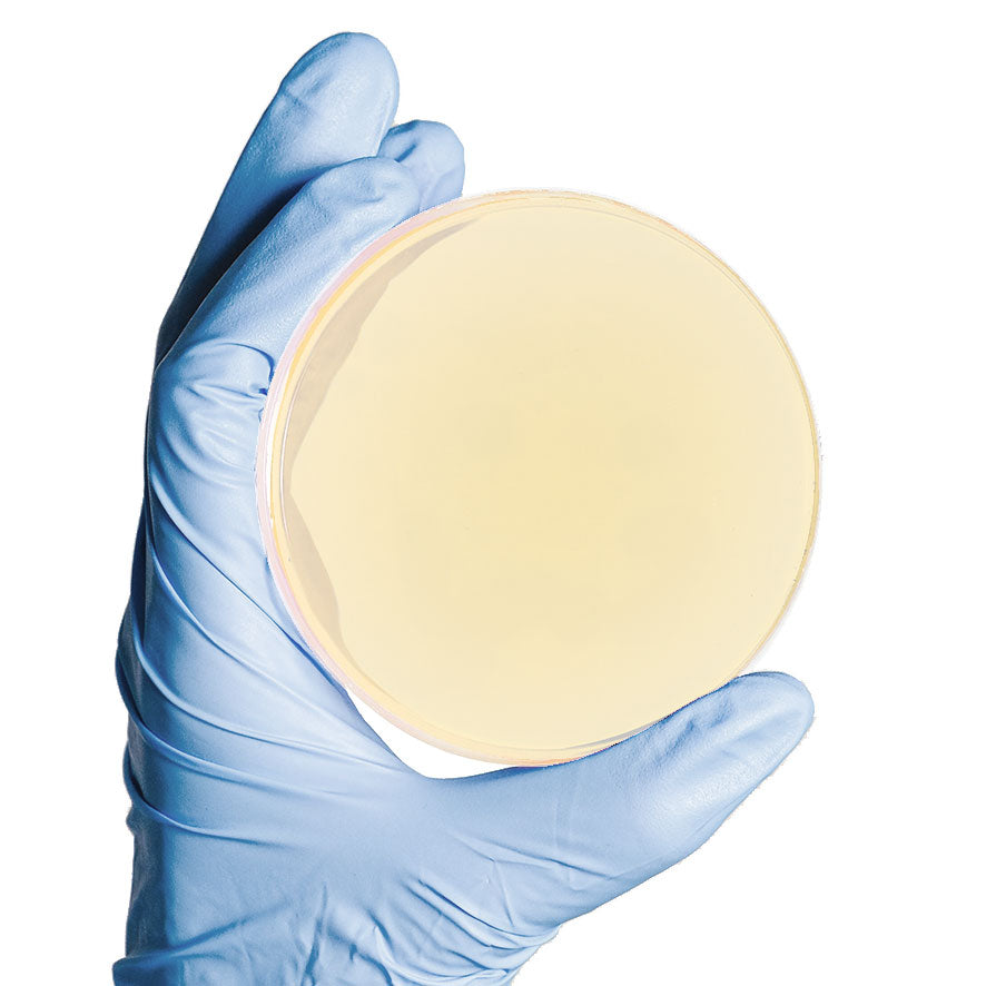 Enterokokken-Agar - 20 Stk.