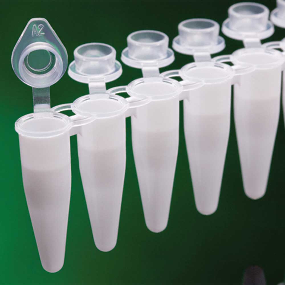 0.2ml 8-Strip White Tube & Ind Cap (120 p.)