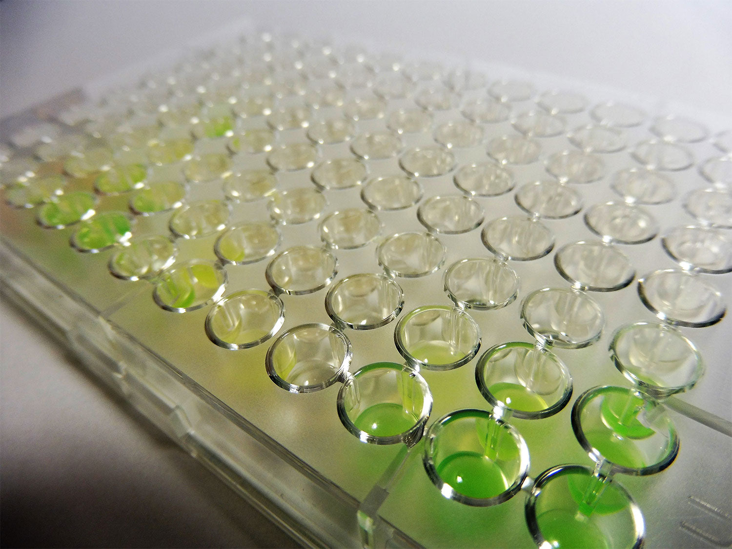 MICRONAUT-S MRSA / GP (40 Platten)