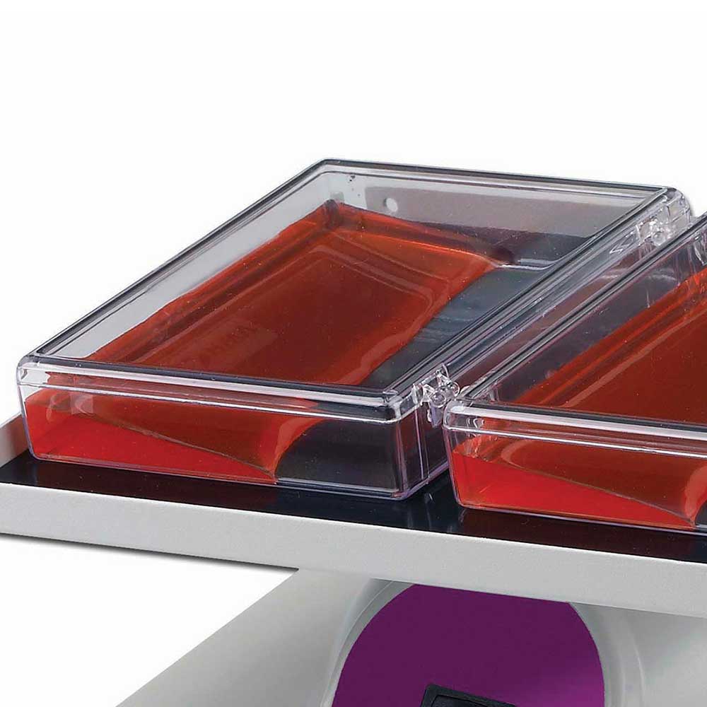 Gel/Blot box 11.7 x 8.9cm