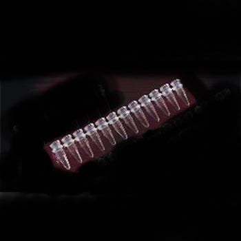 0.2ml PCR 12-strip tubes - Natural (80 p.)