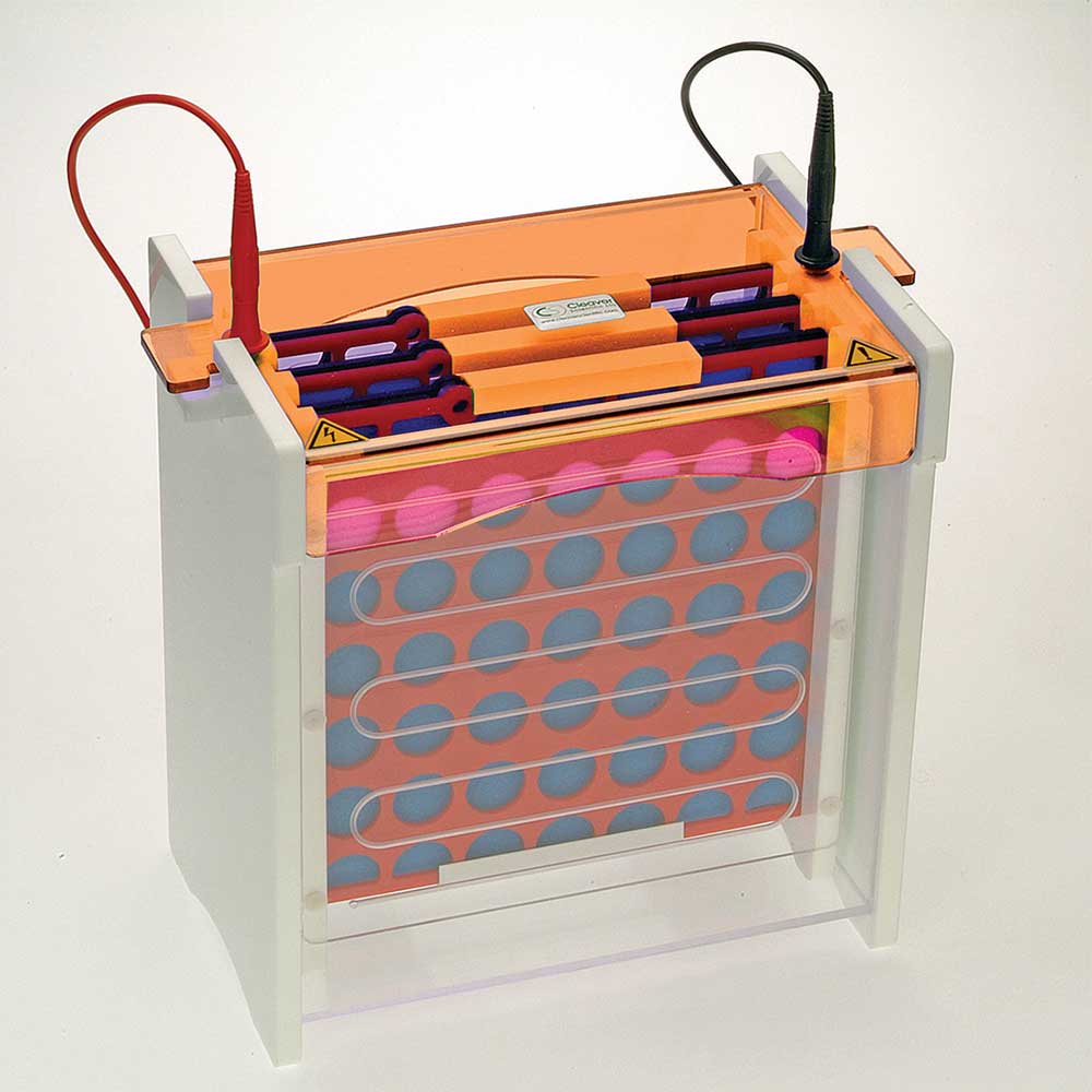 Clarit-E Electro Blot Maxi, 20 x 20cm