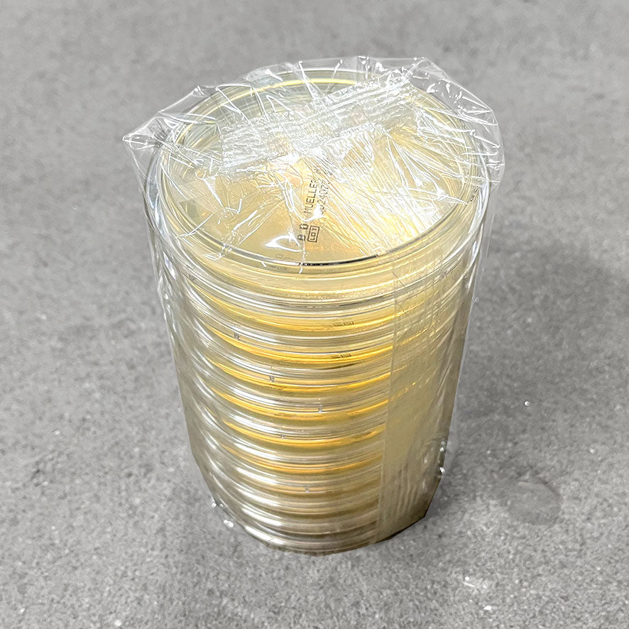 Mueller-Hinton-II Agar fertig - 20 Stk.