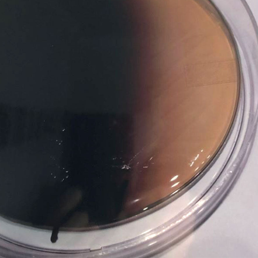 Enterokokken-Agar - 20 Stk.