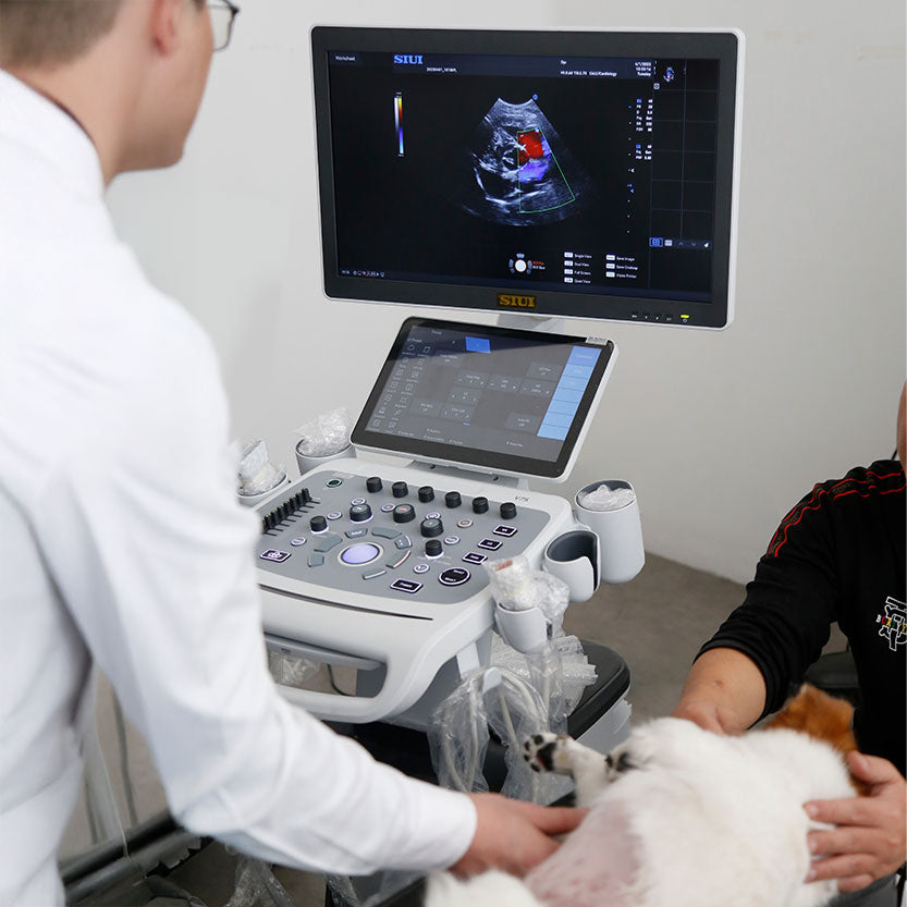SIUI V75 Ultraschallgerät (VET)