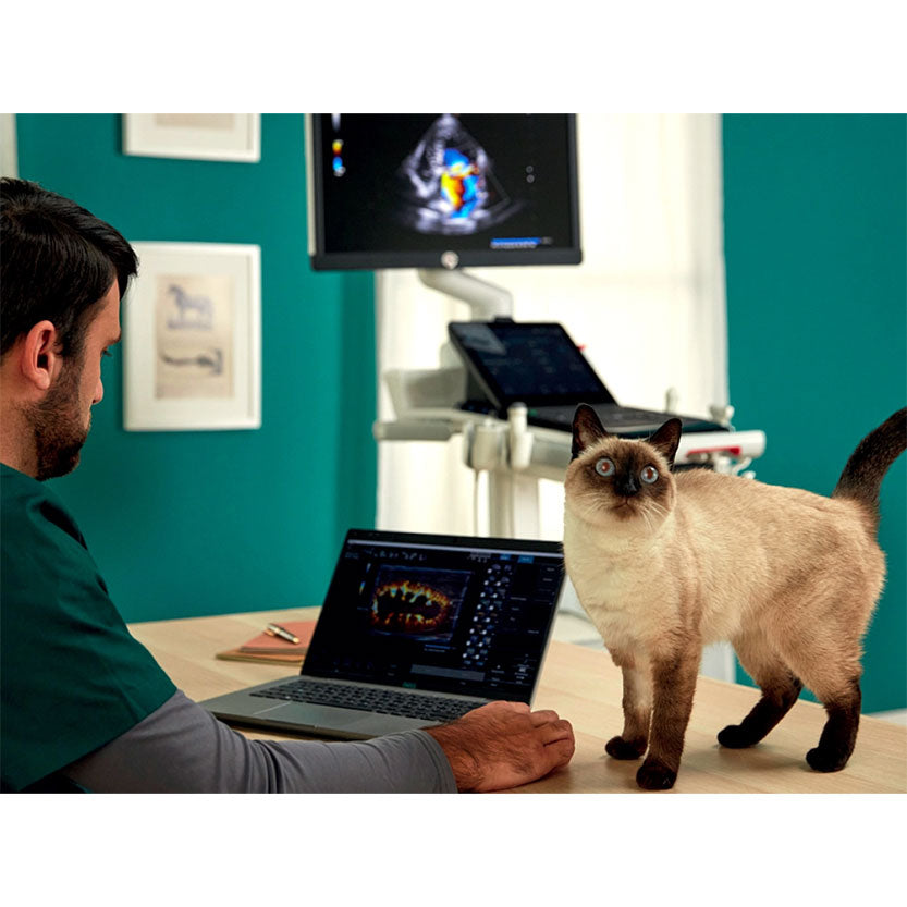 Ultrasound System Esaote MyLab™ FOX ETC