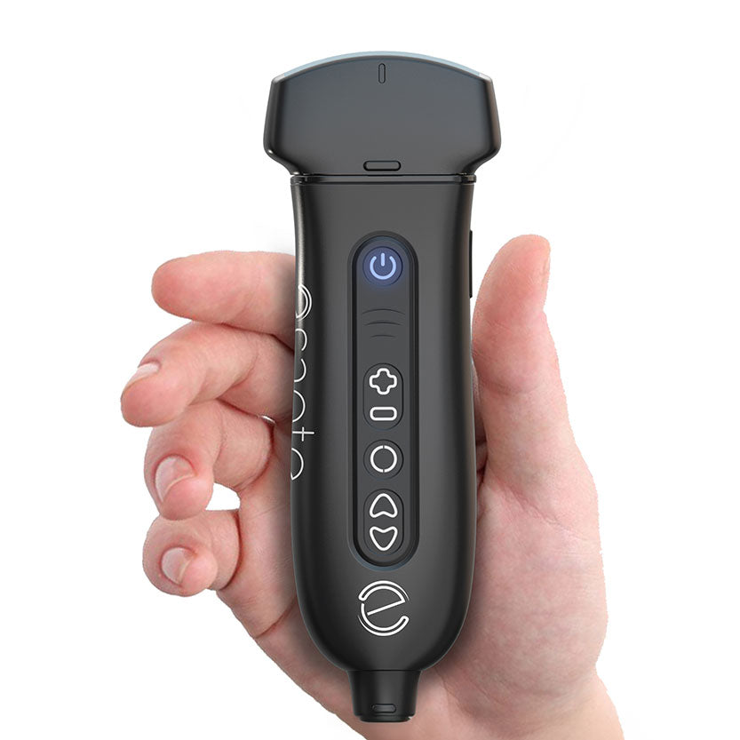 Sonda convexa C5-2Ks, radio 60°
