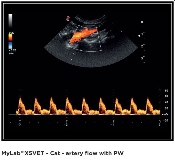 Ultraschallgerät Esaote MyLab™ X5 VET