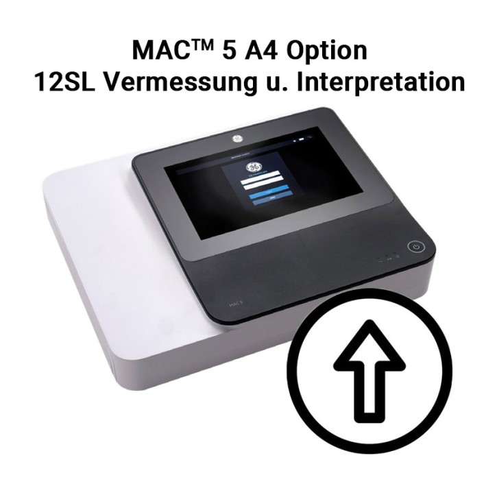 GE MAC 5 A4 12SL Vermessung und Interpretation