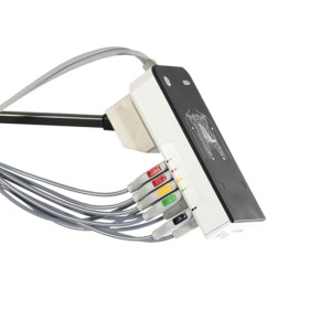 KISS+ EEAS for MAC - 10 Leads