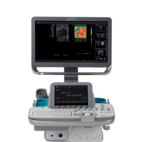 Ultraschallgerät Siemens Acuson NX3